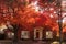 Sun shining through brilliant red leaves shading a beautiful traditional brick house with Christmas decorations all ready up