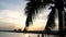 Sun shining through the coconut palm leaves on the beach at sunset time in the evening