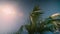 Sun shining through coconut palm trees with reflections on background sky