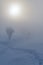 Sun shining through dense fog in winter landscape, hikers visible in distance