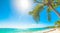 Sun shining over Raisins Clairs beach in Guadeloupe