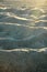 Sun shining on the sand with a ghost crab walking