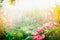 Sun shower in flower garden. Rain with sunshine in garden or park , outdoor nature background