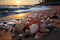 Sun soaked shoreline, two starfish adorn beach as sunsets hues paint the horizon