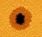 The Sun. Solar surface with black spots. Close-up. Generative AI