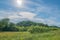 Sun on a sunny summer day in the beautiful rolling hills of driftless amish area in Western Wisconsin