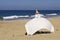 Sun tent on an ocean beach