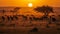The sun was setting over the grassy plains of Tanzani. Generative AI