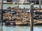 Sunbathing seals on Pier 39 in San Francisco, USA