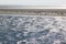 Sunbathing seals between Terschelling and Ameland