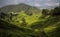 A sunbeam lights up the cameron Highlands near Brinchang, Malaysia