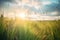 sunbeam piercing through clouds onto lush grassland