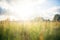 sunbeam piercing through clouds onto lush grassland