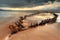 Sunbeam ship wreck on irish beach - HDR