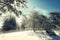 Sunbeam Through Snowy Pines Trees In Etna Park, Sicily