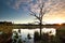 Sunbeams behind dry tree on swamp