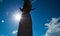 Sunbeams extend over sky and palm tree trunk with rainbow spots during midday