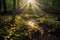 sunbeams illuminating a serene forest floor