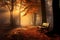 Sunbeams pierce through fog in autumn forest, a serene scene