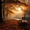 Sunbeams pierce through fog in autumn forest, a serene scene
