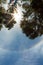 Sunbeams through the tree leaves. Small rainbow and blue sky with clouds. Relax and lovely concept.