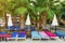 Sunbeds or deckchair and umbrellas under palm trees on tropical resort hotel territory