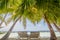 Sunbeds under palm trees at the tropical beach at the island resort