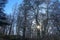 Sunburst Through Trees in David C. Shaw Arboretum -04