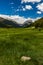 Sundance Mountain and Mount Chapin Colorado