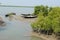 Sundarban River
