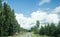 Sunday. Fields, trees and road with blue sky