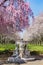 Sundial and Beautiful Pink Cherry Blossoms with Trees in Full Bloom and No People in Fairmount Park, Philadelphia, Pennsylvania