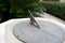 Sundial with bird decor