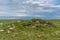 Sundial Hill Medicine Wheel, Southern Alberta