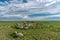 Sundial Hill Medicine Wheel, Southern Alberta