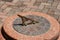 SUNDIAL ON A PEDESTAL SET IN RED GRANITE