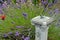 Sundial in summer garden