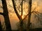 Sundown through bare tree twigs . Tranquil fall sunset landscape with nobody