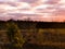 Sundown in a heather landscape with nacreous clouds, a colorful weather phenomenon that rarely occurs in winter