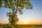 Sundown over fields and trees in a green hilly grassy landscape under a colorful sky in sunlight in springtime