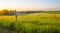 Sundown over fields and trees in a green hilly grassy landscape under a colorful sky in sunlight in springtime