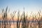 Sundown view of the Sneekermeer, The Netherlands