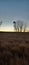 Sundown on the Wyoming highway antique windmill