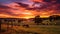 sunequestrian horse farm sunset