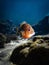 A sunfish hovers above the sea grass and sandy bottom of Rainbow River, Dunnellon, Florida