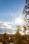 Sunflare in blue sky with clouds trees and homes in residential area