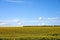 Sunflower agricultural field cloudy sky background