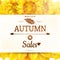 Sunflower autumn sale. EPS 10