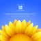 Sunflower background with blue sky, vector.