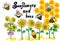 Sunflower and bee set, clip art